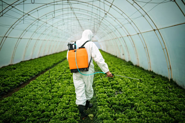 Best Pest Control Near Me  in West Ishpeng, MI
