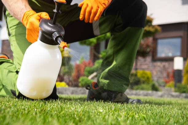 Best Emergency Pest Control  in West Ishpeng, MI
