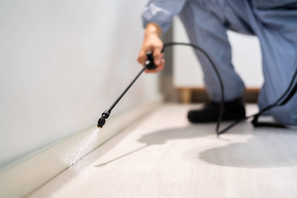 Best Local Pest Control Services  in West Ishpeng, MI