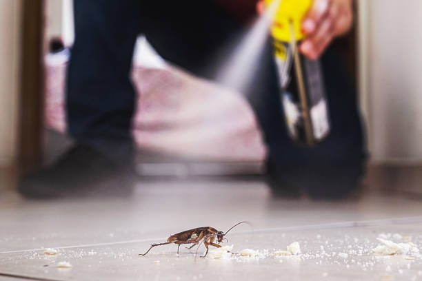 Best Affordable Pest Control Services  in West Ishpeng, MI