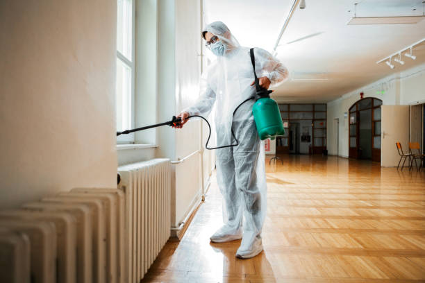 Best Mosquito Control Services  in West Ishpeng, MI