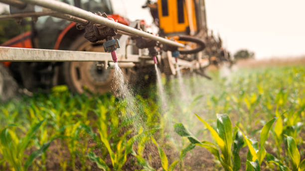 Best Ant Control Services  in West Ishpeng, MI